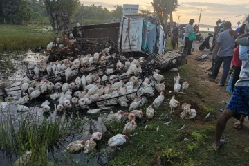 இன்று அதிகாலை இடம்பெற்ற சம்பவம்; பெண்ணொருவருக்கு நேர்ந்த கதி!