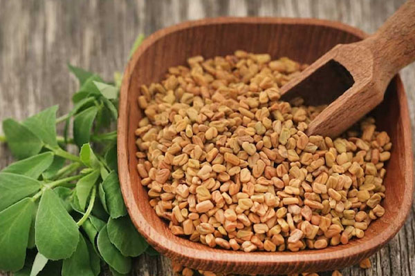 அதிக மூட்டு வலியா அப்போ இந்த உணவுகளை உட்கொள்ளுங்க | Consume These Foods You Have A Lot Of Joint Pain
