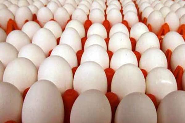 புற்றுநோய் உண்டாக்கும் முட்டை - இதற்கு உண்மை சான்று என்ன? | Eggs Cause Cancer Is It True Safe To Eat