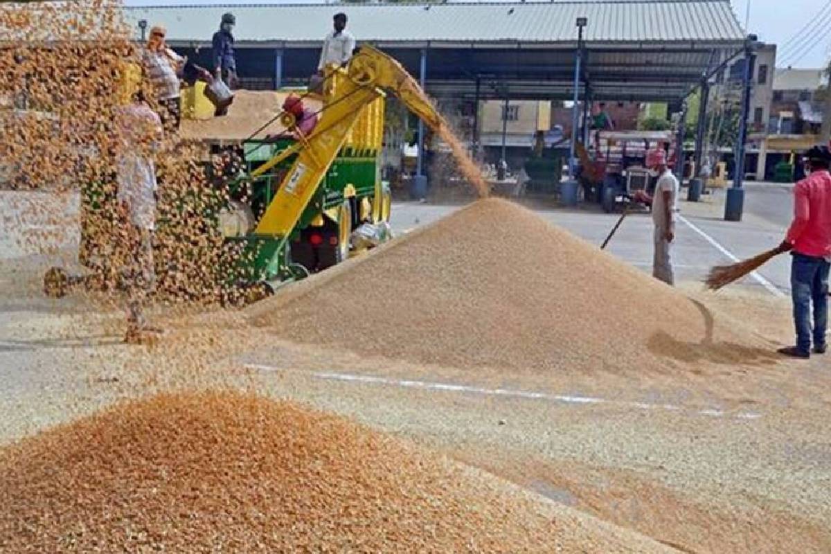 உருவாகியுள்ள கடும் வானிலைச் சுழற்சி... இந்தியாவிடம் இருக்கும் தானிய இருப்பு எவ்வளவு | India Food Grain Stocks