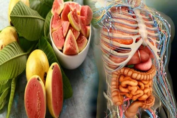 கொய்யாப்பழத்தில் இவ்வளவு மருத்துவ குணங்களா? இனிமேல் தவிர்க்காதீர்கள்