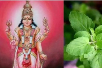புதன் தோஷம் நீக்கும் அதிசய இலை! விஞ்ஞானமே வியக்கும் ஜோதிட சூட்சுமம்