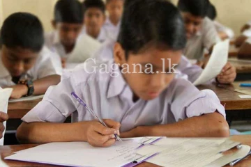 ශිෂ්‍යත්ව විභාගය සමත් දරුවන්ට මෙන්න සුබ ආරංචියක්.