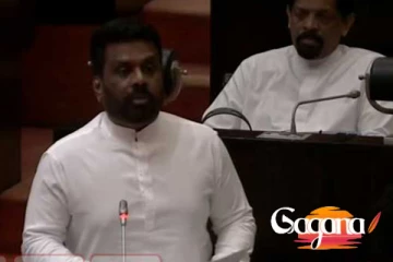 2025 අයවැය වැඩි ඡන්දයෙන් සම්මතයි