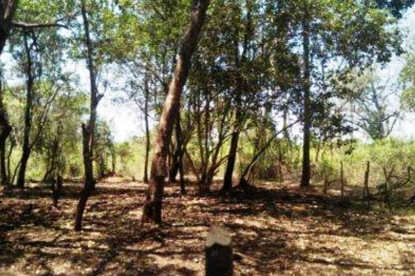 மட்டக்களப்பு ஐயன்கேணி கோயில்களுக்கு அருகே முஸ்லிம் கிராமங்களால் ஆக்கிரமிப்பு | A Temple Surrounded By Muslims
