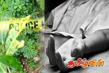 எல்ல பாலத்தில் இருந்து கீழே விழுந்து ஒருவர் பலி!