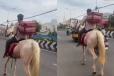 குதிரையில் சென்று உணவு டெலிவரி செய்த ஜொமாட்டோ ஊழியர்.., வைரல் வீடியோ