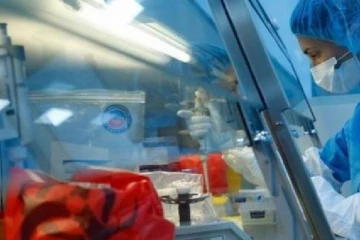 யாழ். தென்மராட்சி ஆசிரியைக்கு கோவிட் -19! - வடக்கில் இன்று 5 பேருக்குத் தொற்று உறுதி