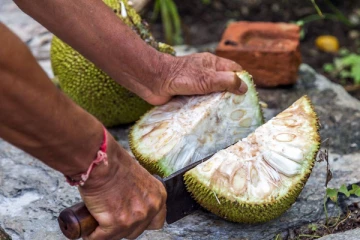 වෙළෙන්දන්ගේ කූට උපක්‍රම නිසා ඔබට ආහාර විෂ විය හැකි බව දන්නවද?