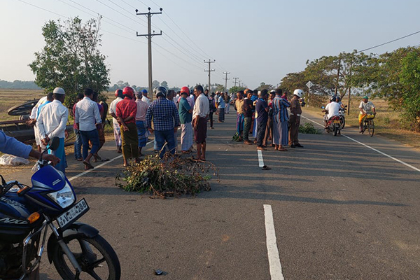 மாட்டு வண்டியுடன் மோட்டார் சைக்கிள் மோதி விபத்து ; ஸ்தலத்திலேயே உயிரிழந்த குடும்பஸ்தர் | Motorcycle Accident With Bullock Cart