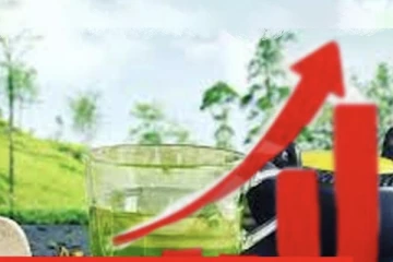 ලංකාවේ ප්‍රධාන අපනයන භාණ්ඩයක මිල 100%කින් ඉහළ යයි..රටටම සුබ ආරංචියක්.!!