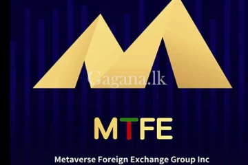 ජැෆ්නා කිංග්ස් ලට අනුග්‍රහය දැක්වූ MTFE ගැන මහ බැංකුවෙන් විමර්ශනයක්.