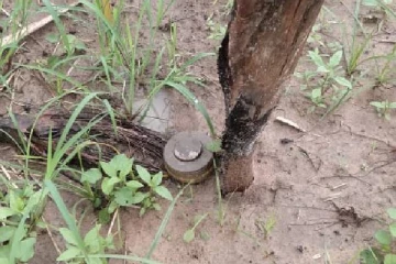 யாழில் மிதிவெடி கண்டுபிடிப்பு!(Photo)