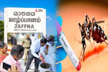 யாழ்பாணத்தில் விசேட சோதனை ; டெங்கு பரவலுக்கு எதிராக 07பேரிற்கு தண்டம்