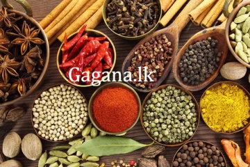 කුළුබඩු රට යවනවනම් SLS අනිවාර්ය කරයි..