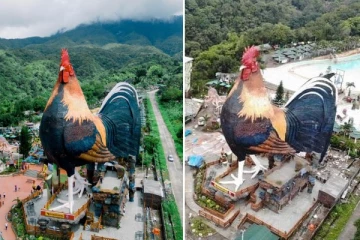 கோழி வடிவத்தில் பிரம்மாண்ட கட்டிடம்: உலக கின்னஸ் சாதனையில் இடம் பிடித்த ஹோட்டல்!