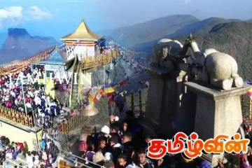 பொதுமக்களிடம் விடுக்கப்பட்டுள்ள கோரிக்கை!