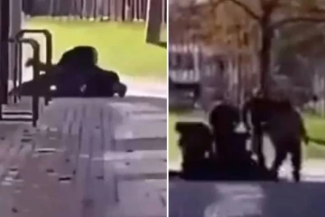 பிரித்தானியா கல்லூரிக்குள் தாக்குதல் நடத்திய துப்பாக்கிதாரியுடன் தனியாளாக மோதி மடக்கி பிடித்த ஹீரோ ஆசிரியர்! கமெராவில் சிக்கிய காட்சி