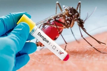 தேசிய டெங்கு ஒழிப்பு வாரம் ஒன்றை பிரகடனப்படுத்த நடவடிக்கை