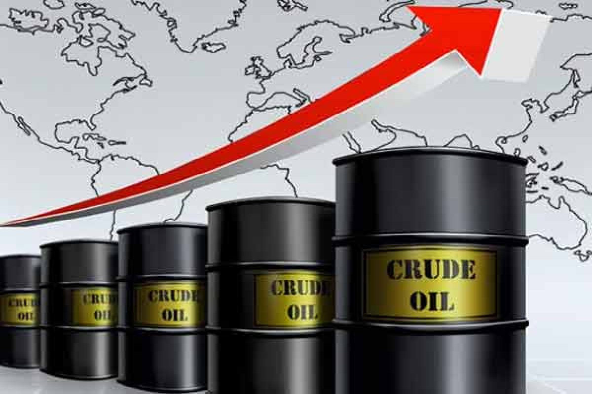 எரிபொருள் விலை அதிகரிப்பு தொடர்பில் வெளியான அறிவிப்பு | Fuel Prices Will Have To Be Increased எரிபொருள் விலை அதிகரிப்பு தொடர்பில் வெளியான அறிவிப்பு | Fuel Prices Will Have To Be Increased