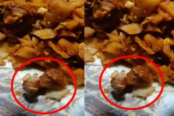 யாழில் ஹோட்டலில் கொத்து றொட்டி வாங்கிய ஊடகவியலாளருக்கு காத்திருந்த அதிர்ச்சி!