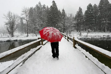 அமெரிக்காவைப் புரட்டி எடுக்கும் வரலாறு காணாத பனிப்புயல்! மின்சாரம் இல்லாமல் அவதிப்படும் லட்சக்கணக்கில் மக்கள்