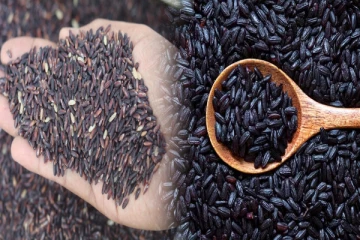 கருப்பு அரிசி சாப்பிட்டால் உடலுக்கு இத்தனை நன்மைகள் கிடைக்குமா?