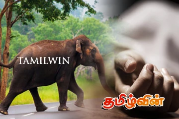 யானையுடன் மோட்டார் சைக்கிள் மோதியதில் கோர விபத்து - ஒருவர் மரணம்