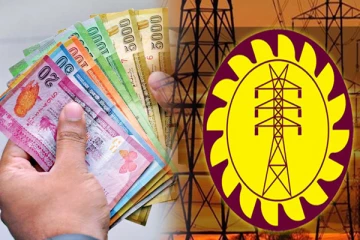 மின்சார சபை ஊழியர்களின் கடனுக்கு வட்டி செலுத்தும் வாடிக்கையாளர்கள்