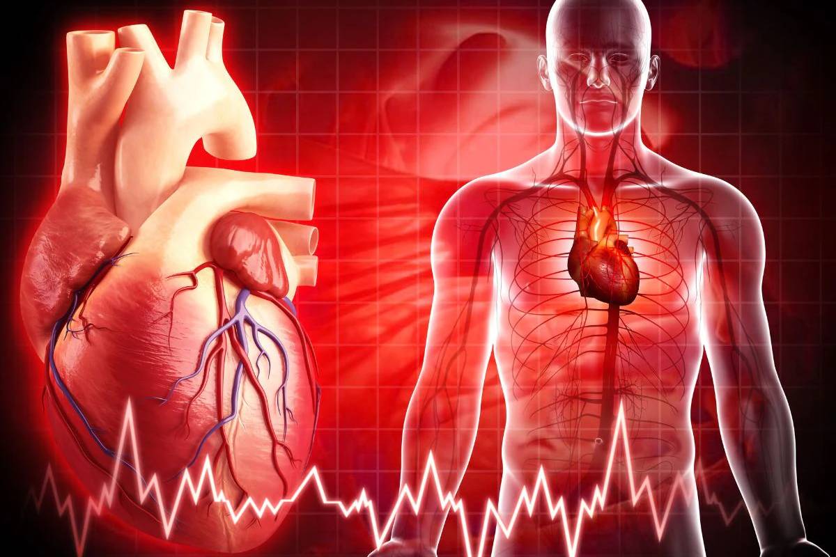 முதுகின் இந்த இடத்தில் வலி இருக்கா? மாரடைப்பு குறித்து இதய நிபுணர் எச்சரிக்கை! | Is Your Back Pain A Secret Sign Of Heart Attack