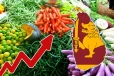மரக்கறிகளின் விலை உயர்வு ஏப்ரல் வரை தொடரும்..!