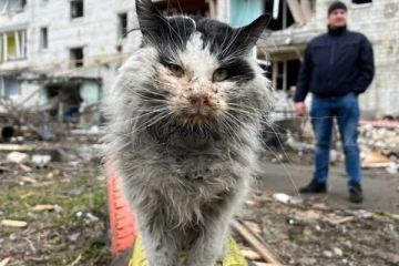 ரஷ்ய தாக்குதலில் சிக்கித் தவித்த பூனையை காப்பாற்றிய வீரர்கள்!