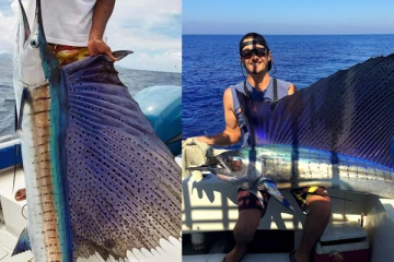 කෑවට දැකලා නැති "තලපතා" බිලීබෑම මේතරම් අවදානම් ඇයි?