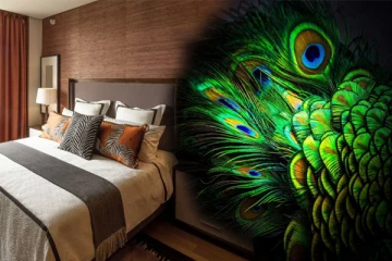 வீடுகளில் மயிலிறகு வைப்பது நல்லதா?