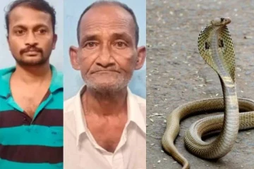 பாம்பு கடித்து மாணவி இறந்த வழக்கில் திருப்பம்! 78 வயது முதியவர் கைது... அதிர்ச்சி பின்னணி