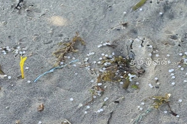 மன்னார் கடற்கரையோரங்களில் மீண்டும் கரையொதுங்கும் பிளாஸ்டிக் துகள்கள் | Plastic Bags Washing Up Again On Mannar Beaches மன்னார் கடற்கரையோரங்களில் மீண்டும் கரையொதுங்கும் பிளாஸ்டிக் துகள்கள் | Plastic Bags Washing Up Again On Mannar Beaches
