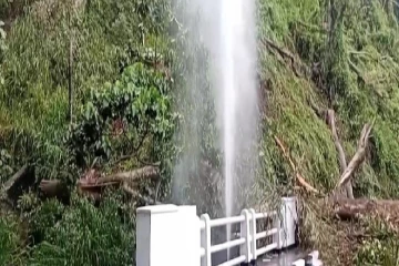 மலையகத்தில் கடும் மழை; முறிந்து விழுந்த பாரிய மரம்