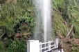 மலையகத்தில் கடும் மழை; முறிந்து விழுந்த பாரிய மரம்