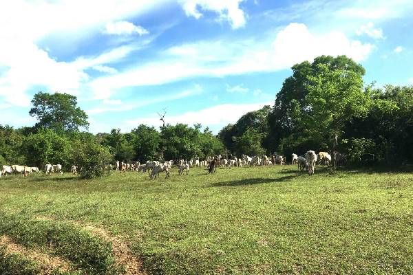 அரசின் கைக்கூலியாக செயற்படும் டக்ளஸ்! சபையில் சாணக்கியன் (Video) | Srilanka Political Crisis Sanakiyan Parlimentspech