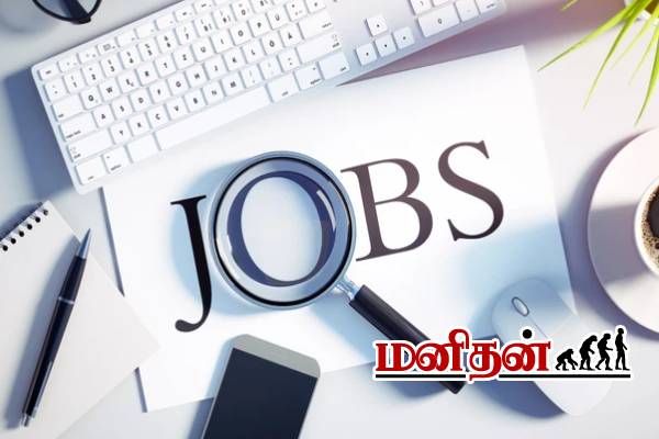 தாறுமாறாக உயரும் தங்கம் விலை.. அமெரிக்காவில் அதிகமாகும் வேலைவாய்ப்பு! | Gold Prices Rise Despite Strong Us Job Data தாறுமாறாக உயரும் தங்கம் விலை.. அமெரிக்காவில் அதிகமாகும் வேலைவாய்ப்பு! | Gold Prices Rise Despite Strong Us Job Data