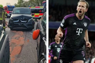 சாலை விபத்தில் சிக்கிய ஹரி கேனின் மூன்று பிள்ளைகள்: ஜேர்மனியில் சம்பவம்