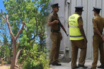 மட்டக்களப்பில் மரத்தில் இருந்து தவறி விழுந்தவர் உயிரிழப்பு..!