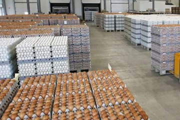 கொழும்பு துறைமுகத்தில் பழுதடைந்த முட்டைகள் கையிருப்பு