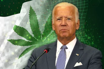 அமெரிக்காவில் கஞ்சாவுக்கு பச்சைகொடி காட்டிய ஜோ பைடன்!