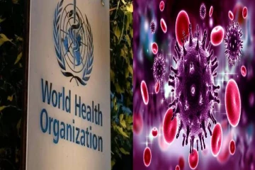 உலகை மிரட்டும் குரங்கு அம்மை : எசசரிக்கை கொடுத்த WHO