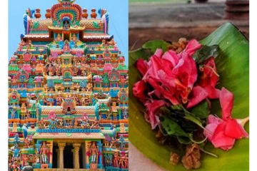 இளம்பெண் அகால மரணம்; இனி கோயில் பூஜைகளில் இந்த பூவுக்கு தடை - அரசு உத்தரவு!