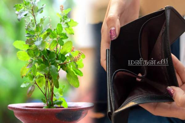 வீட்டின் செழிப்பை கெடுக்கும் செடிகள்.. இனியும் விட்டு வைக்காதீங்க | Home Plants To Avoid Growing Vastu Tips