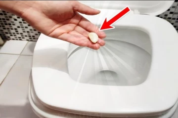 இரவு தூங்கும் முன் ஒரே ஒரு பூண்டு பல்லை கழிவறையில் தூக்கி போடுங்க... அடுத்த நாள் காத்திருக்கு ஆச்சரியம்!