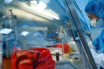 இலங்கைக்குள் கொரோனாவினால் பாதிக்கப்பட்டவர்களின் எண்ணிக்கை உயர்வு