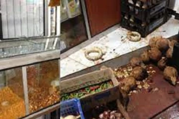 யாழில் பல்பொருள் அங்காடி மீது இனம் தெரியாத கும்பலால் பெற்றோல் குண்டுத் தாக்குதல்!